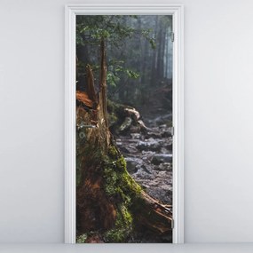 Fotótapéta ajtóra - Az erdőben (95x205cm)