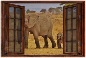 Poszterek 60x40 Elefánt az anyjával