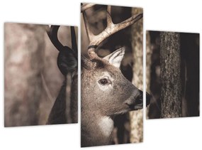 Kép - Szarvas az erdőben (90x60 cm)