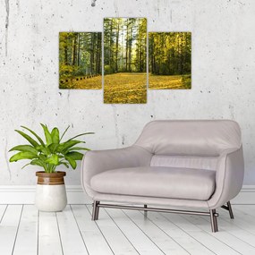 Kép - erdő ősszel (90x60 cm)
