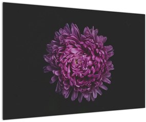 Lila virág képe (90x60 cm)