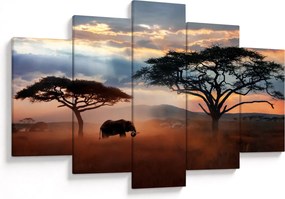 Kép - Serengeti Nemzeti Park, Tanzánia, Afrika (150x105 cm)