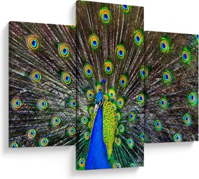 Kép - Páva (90x60 cm)