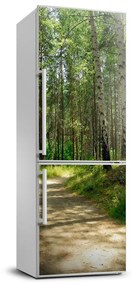 Matrica hűtőre Nyírfa erdő FridgeStick-70x190-f-4509873