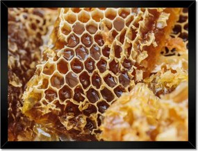 Poszterek keretben 40x30 Sárga méhsejt