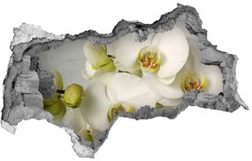3d-s lyukat fali matrica Fehér orchidea nd-b-67521473