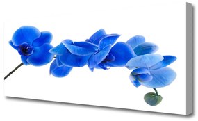 Vászonkép Természet virág növény 120x60 cm