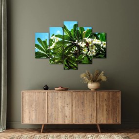 Kép - Plumeria (150x105 cm)