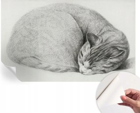 Design fali fotótapéta öntapadós összecsukható macska 416x254 cm