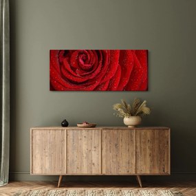 Kép - részlet a rózsáról (120x50 cm)