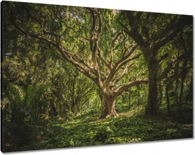 Vászonkép 100x70 Fa a parkban