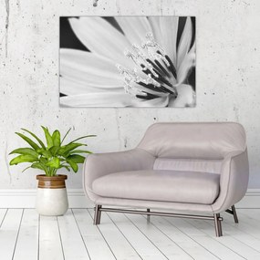 Kép - Fekete-fehér virág (90x60 cm)