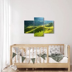 Kép - Rice Terraces koncert (90x60 cm)