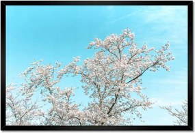 Poszterek keretben 60x40 Finom virágok Tavasz