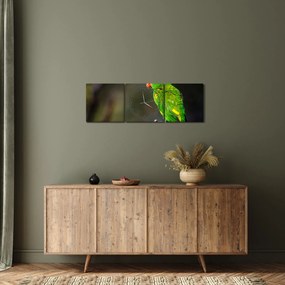 Papagáj egy ágon képe (órával) (90x30 cm)