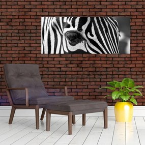 Zebra képe (120x50 cm)