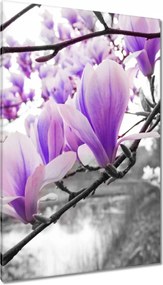 Vászonkép 80x120 Magnólia Virágok