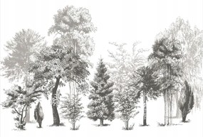 Mwssegge nem szőtt tapéta erdő fák fekete-fehér 300x210 cm