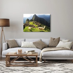 Kép - Machu Picchu (90x60 cm)