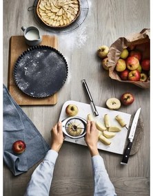 WMF - PROFI PLUS alma kimagozó, rozsdamentes acél