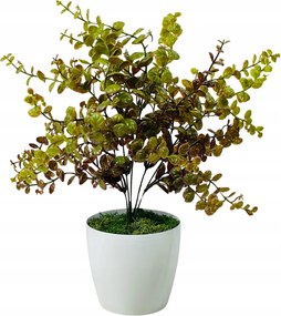 Puszpáng Cserepes Virág Mesterséges Virágok Az Irodába Cserepes Virágok Sláger