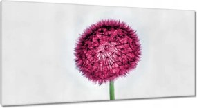 Vászonkép 115x55 Rózsaszín pitypang virág