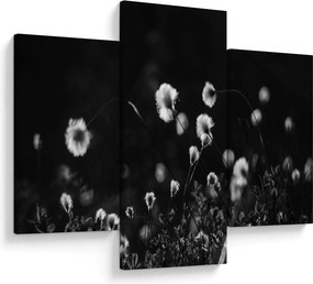 Kép - Gyapotfűvel borított rét N⁰1 (90x60 cm)