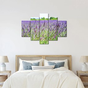 Egy mező képe a levendulával (150x105 cm)