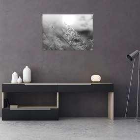 Üveg kép - Őszi rét (70x50 cm)