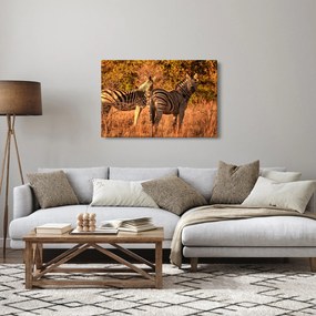Zebrák képe (90x60 cm)
