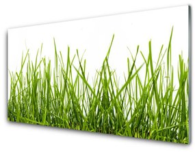 Fali üvegkép Grass Nature Plant 100x50 cm 2 fogas