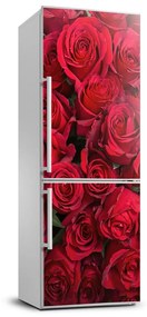 Hűtőre ragasztható matrica Vörös rózsák FridgeStick-70x190-f-67561194