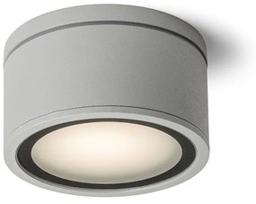 RENDL R10429 MERIDO kültéri lámpa, mennyezeti IP54 ezüstszürke