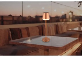 Globo 36637RM - LED Napelemes lámpa LED/0,6W/3V 3000K IP44 réz