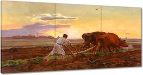 Vászonkép 180x90 Csongrád megyei szántóföld