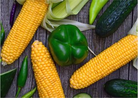 Zöldség képe (70x50 cm)