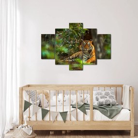 Pihenő tigris képe (150x105 cm)
