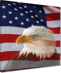 Vászonkép 50x50 Freedom from Usa