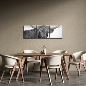 Kép - Skót tehén 2, fekete-fehér (órával) (90x30 cm)