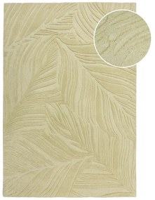 Zöld gyapjú szőnyeg 200x290 cm Lino Leaf – Flair Rugs