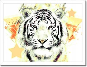 Poszterek keretben 40x30 Tigrisfej Csillagok