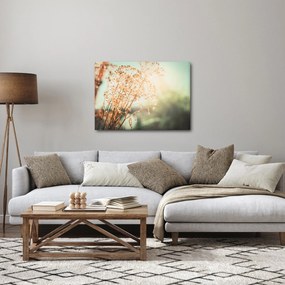 Kép - Növények eső után (70x50 cm)