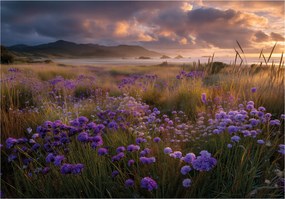Fotótapéta Tájkép Virágok Mező Hálószoba Nappali Tapéta Flizelina 200x140