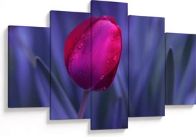 Tulipán bimbó képe (150x105 cm)