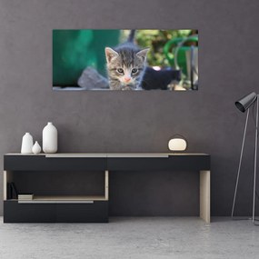 Cica képe (120x50 cm)