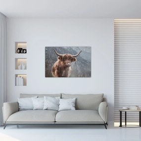 Kép - Highlander tehén (90x60 cm)