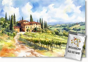 Fotótapéta Flizelina Kilátás Olaszország Toszkána Szőlő 250x175 ragasztó