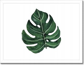 Poszter keretben 40x30 Monstera Zöld levél