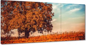 Vászonkép 120x60 Őszi színek Tájkép