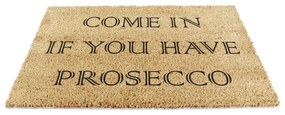 Kókuszrost lábtörlő 40x60 cm Prosecco – Artsy Doormats